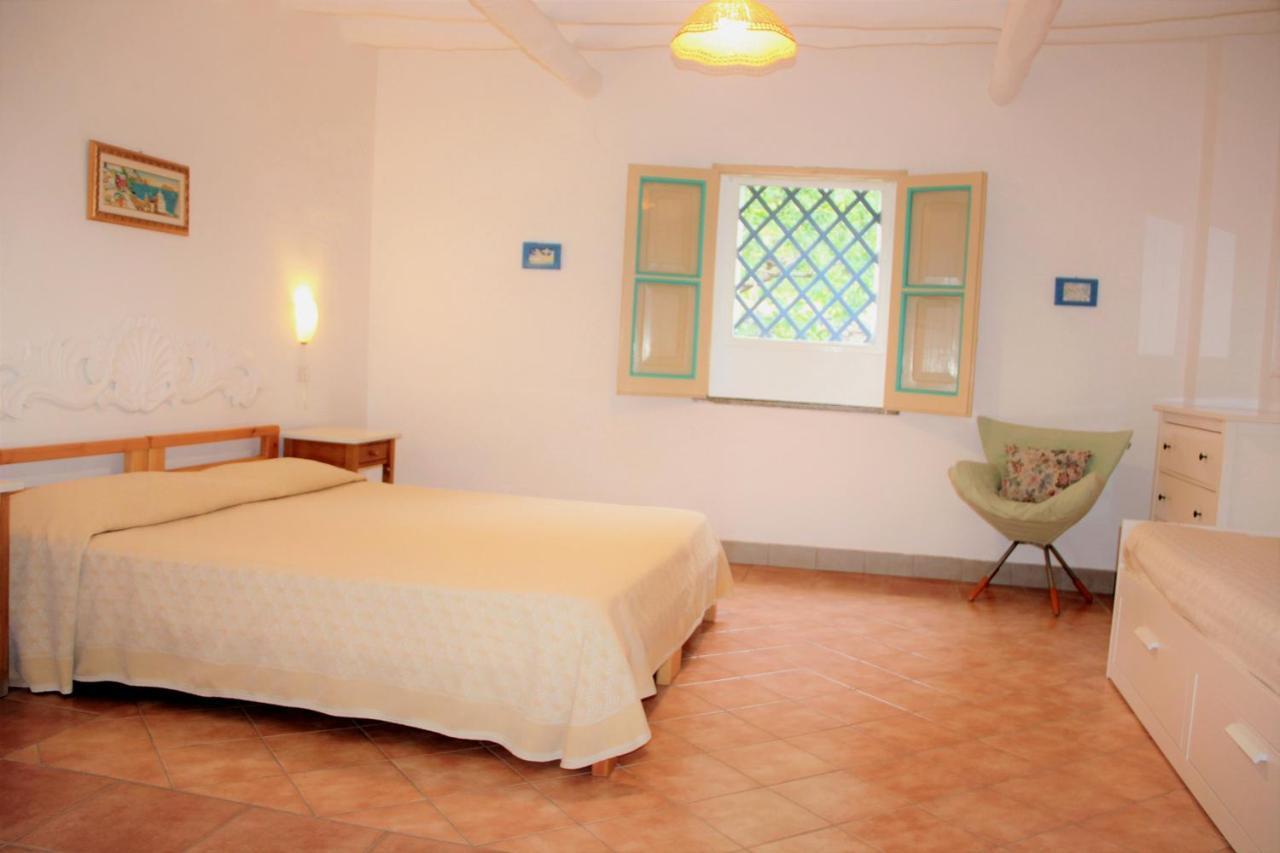 Villa Ginestra Sulla Spiaggia Di Stromboli Kültér fotó
